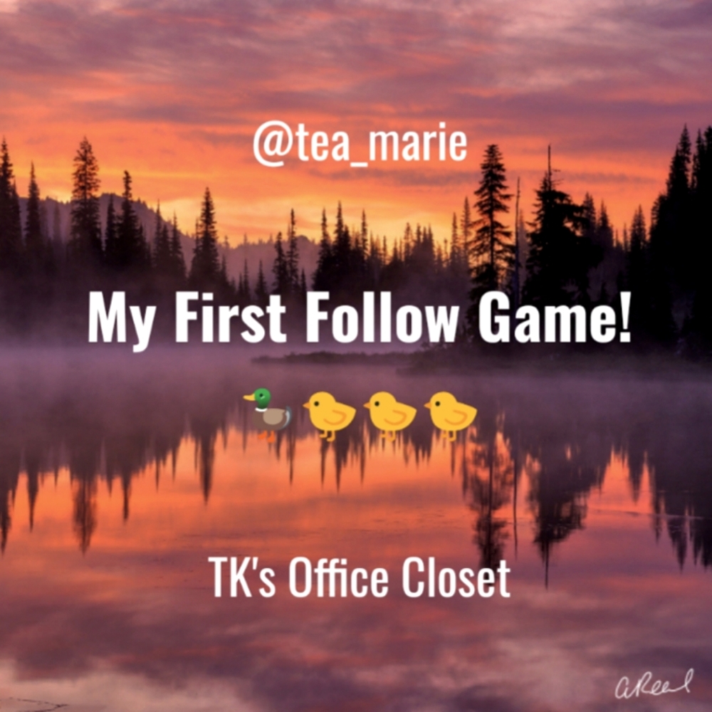 🦆🐤🐤🐤 1st Follow Game!!